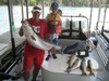 (07/16/2015) - Nice Striped Bass